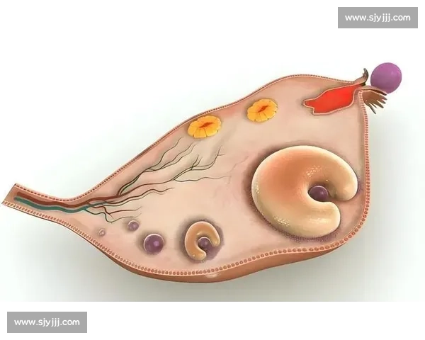 梦魇突袭!科学解析与实用应对指南